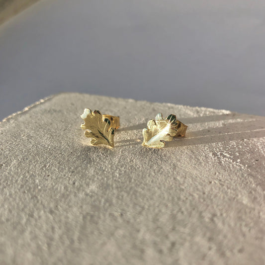 Oak gold earrings